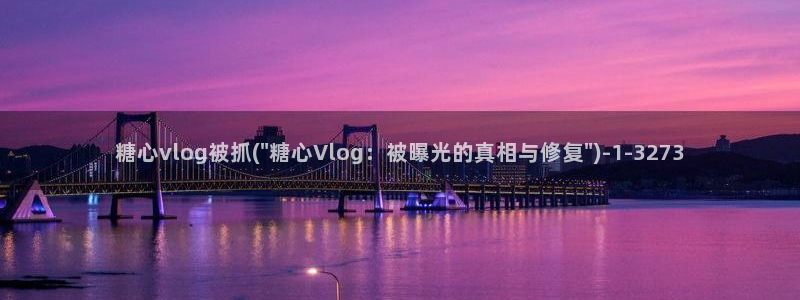 糖心vlogl