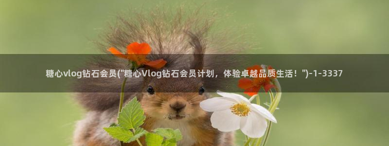 糖心vlgo水冰月麻豆