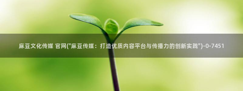 麻豆视频下载入口：麻豆文化传媒 官网(\