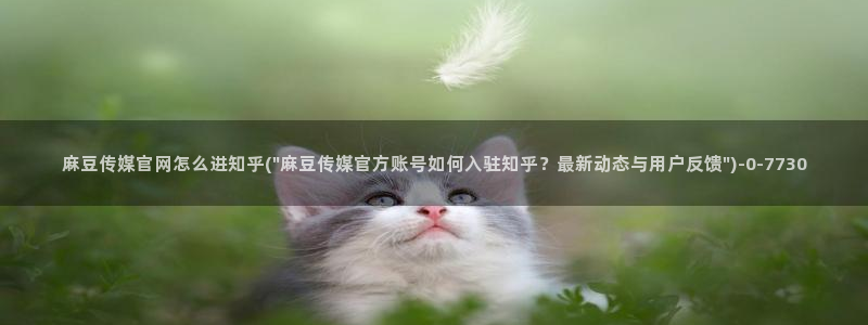 麻豆视频 推荐入口：麻豆传媒官网怎么进知乎(\