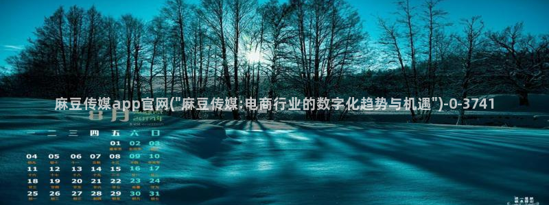 麻豆视频入口整理：麻豆传媒app官网(\