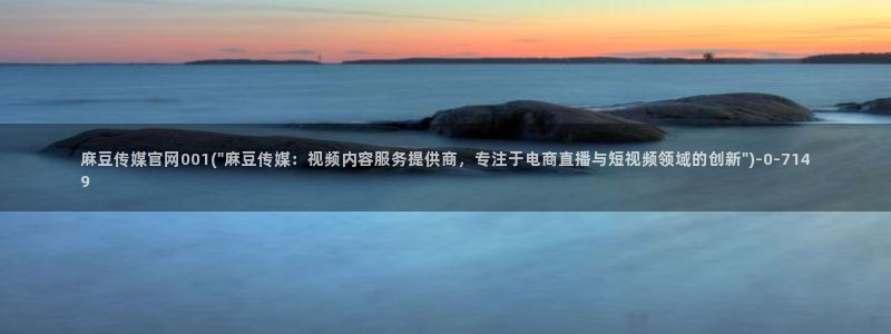 麻豆视频更新视频：麻豆传媒官网001(\
