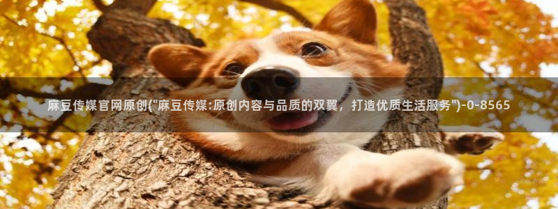 麻豆视频短片入口：麻豆传媒官网原创(\