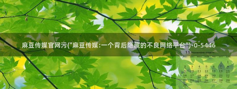 麻豆最新更新：麻豆传媒官网污(\