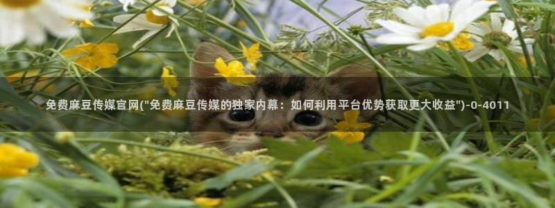 麻豆视频精选视频：免费麻豆传媒官网(\