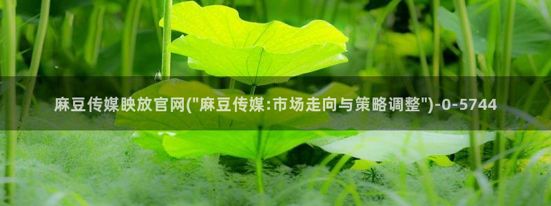 麻豆视频 入口推荐：麻豆传媒眏放官网(\