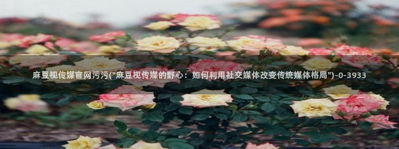 麻豆最新最新：麻豆视传媒官网污污(\