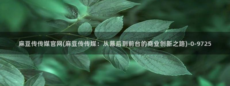 麻豆视频短片：麻豆传传媒官网(麻豆传传媒：从幕后到前台的商业创新之路)
