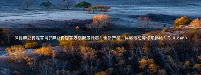 麻豆视频高清更新：微博麻豆传媒官网(\