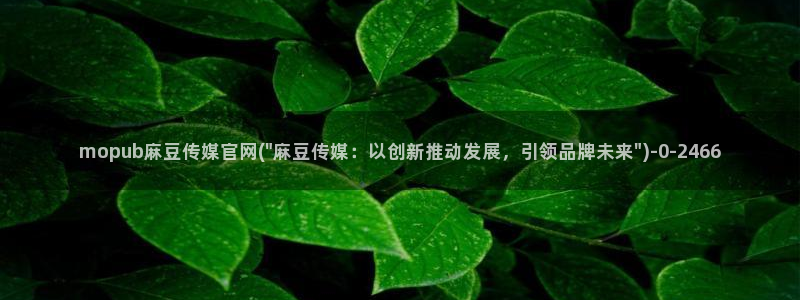 麻豆视频资源资源：mopub麻豆传媒官网(\
