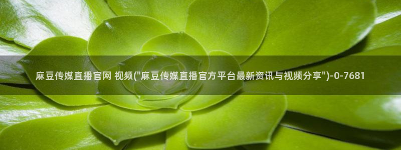 麻豆视频资源视频：麻豆传媒直播官网 视频(\