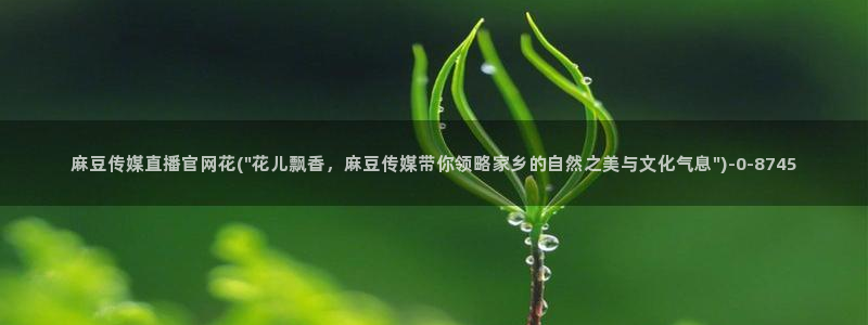 麻豆视频 更新最新