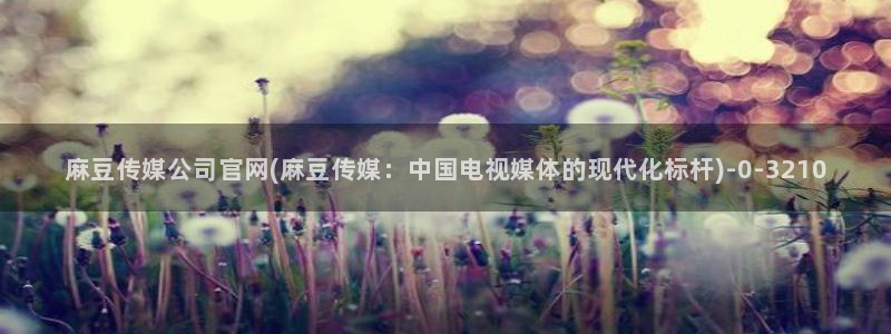 麻豆视频更新整理