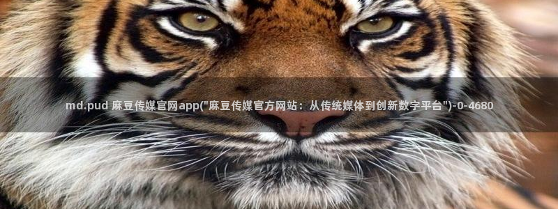 麻豆 高清推荐
