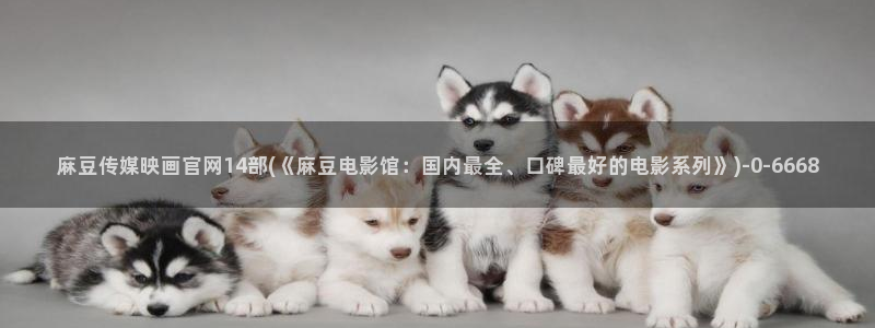 麻豆视频 图集视频
