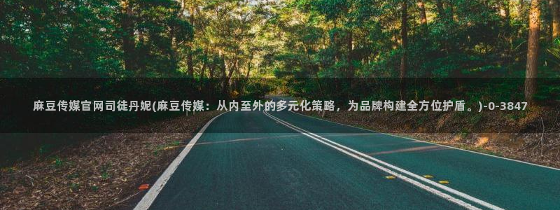 麻豆下载最新：麻豆传媒官网司徒丹妮(麻豆传媒：从内至外的