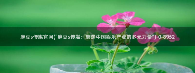 麻豆视频内容专区：麻豆s传媒官网(\