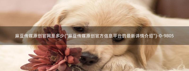 麻豆视频系列合集：麻豆传媒原创官网是多少(\