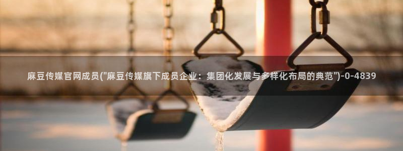麻豆视频更新入口