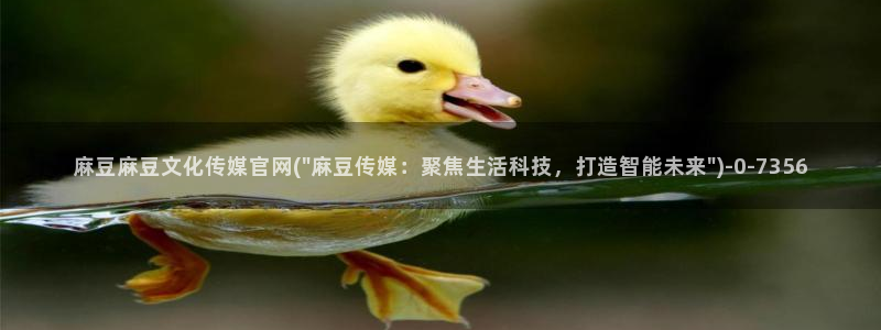 麻豆视频 高清最新