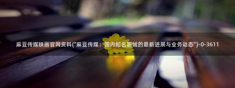 麻豆视频完整版完整版：麻豆传媒映画官网资料(\
