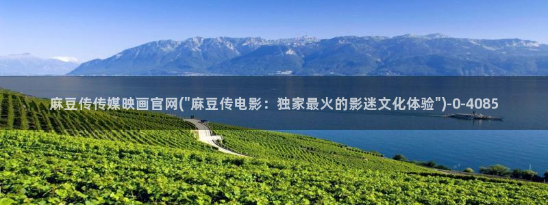 麻豆视频 入口视频：麻豆传传媒映画官网(\