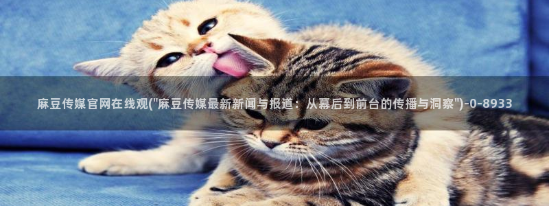 麻豆视频图集高清：麻豆传媒官网在线观(\