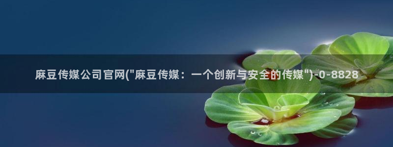 麻豆视频高清更新：麻豆传媒公司官网(\